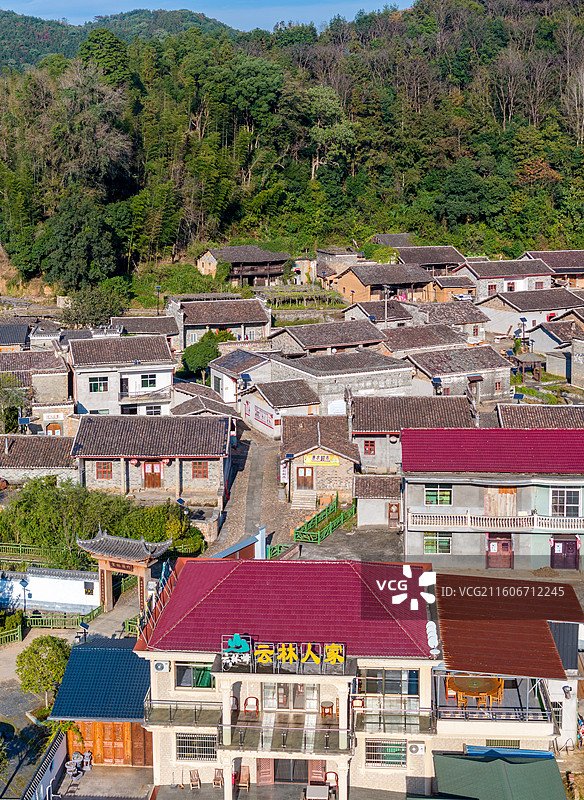 江西抚州金溪县马街村民居、林木，冬季生态环境美景（冬景），人与自然和谐共生的美丽家园。图片素材