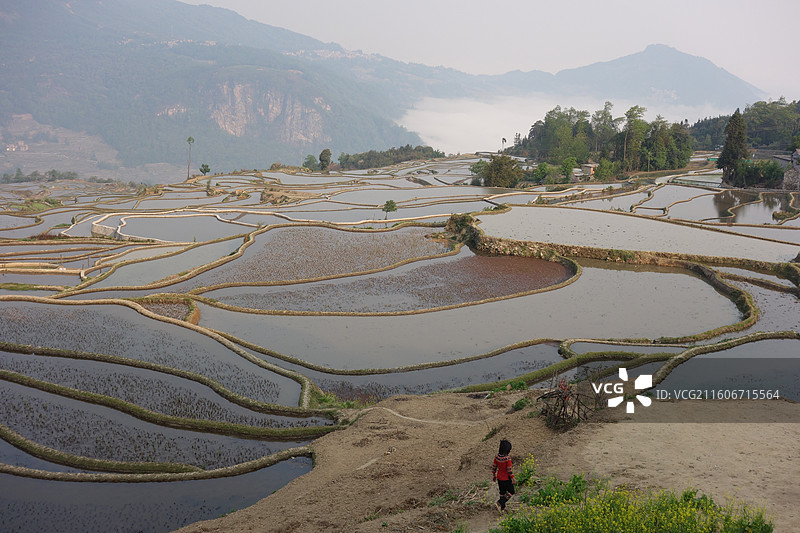 云南省红河州元阳梯田：爱春蓝梯田图片素材