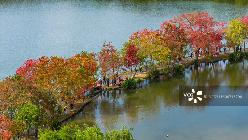 南京前湖月牙堤秋色紫金山秋天风景图片素材