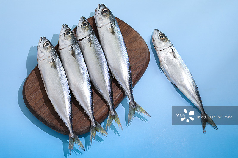 蓝色桌面上的新鲜食材海鲜鱼类海鱼图片素材