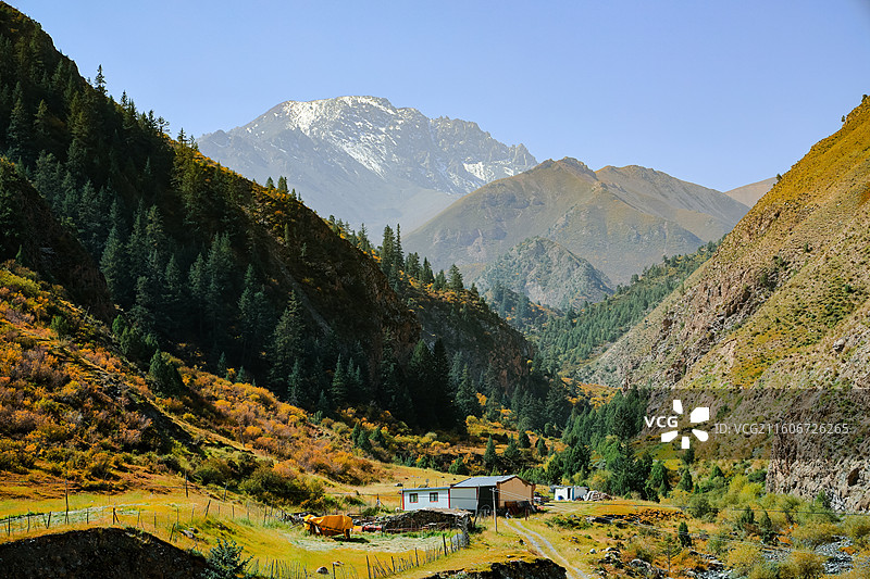 祁连山国家公园田园牧歌图片素材