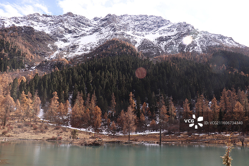 川西深秋盛宴：四川小金玛嘉沟十一月层林尽染的彩林与蓝天白云图片素材