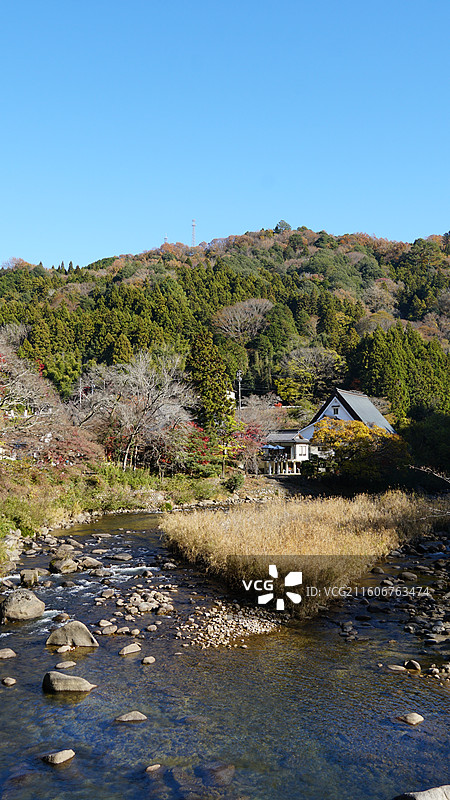日本爱知县丰田市香岚溪红叶图片素材