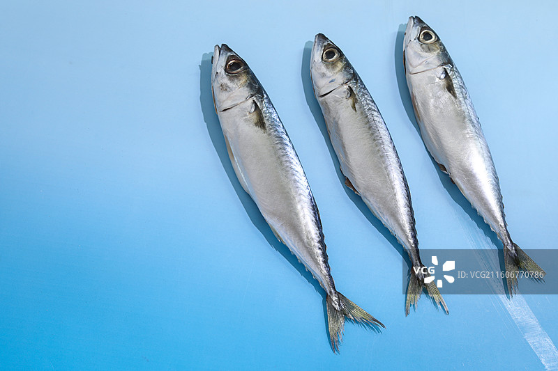 蓝色桌面上的新鲜食材海鲜鱼类海鱼图片素材
