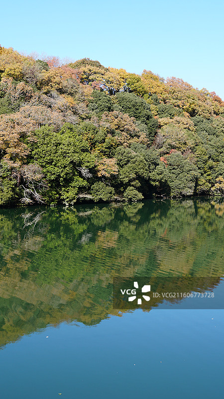 秋天平静的湖面与桥梁图片素材