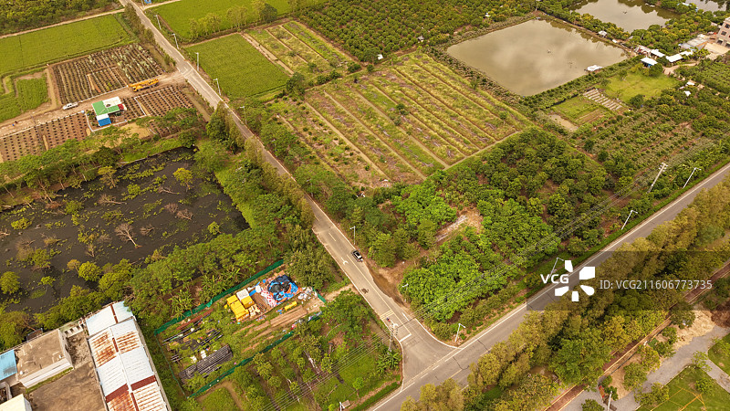 斗门莲洲图片素材