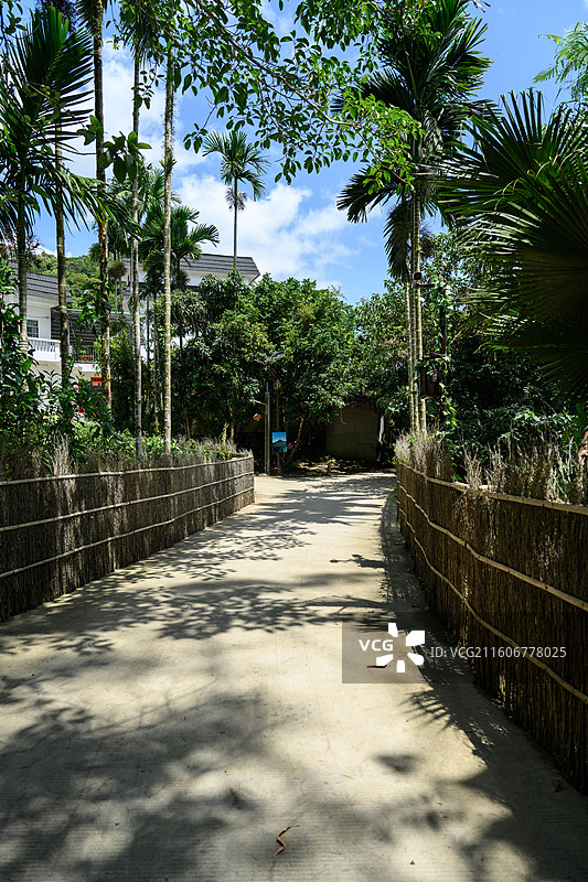 海南五指山毛纳村，五指山脚下的黎族村图片素材