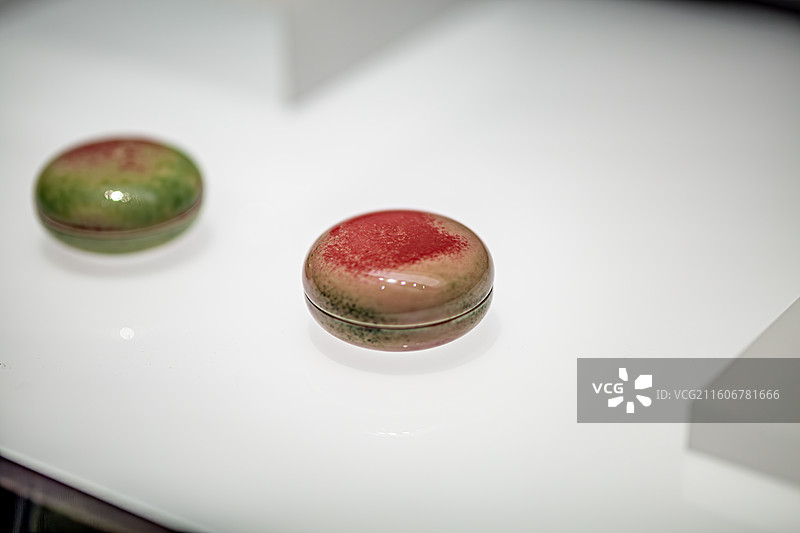 陶瓷上海博物馆藏清康熙景德镇窑苹果绿釉印盒豇豆红釉印盒图片素材