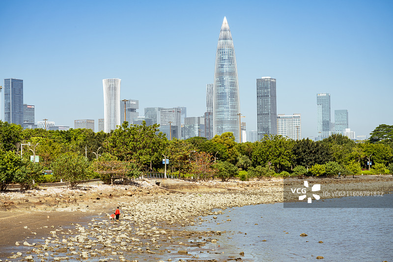 中国广东深圳湾海滨公园都市风光图片素材