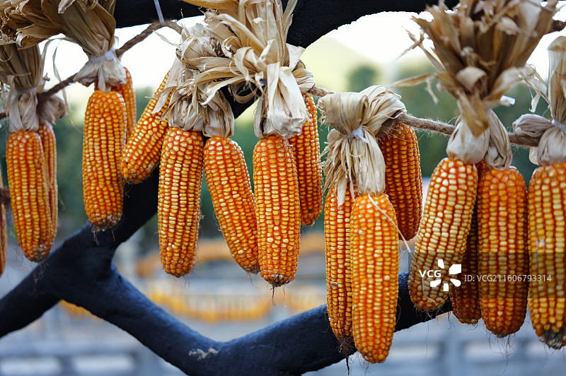 丹山赤水图片素材