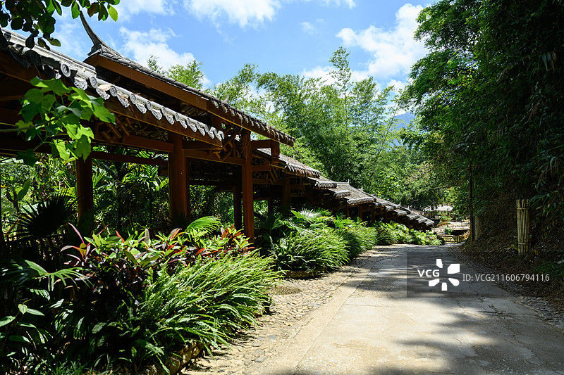 海南五指山毛纳村，五指山脚下的黎族村图片素材