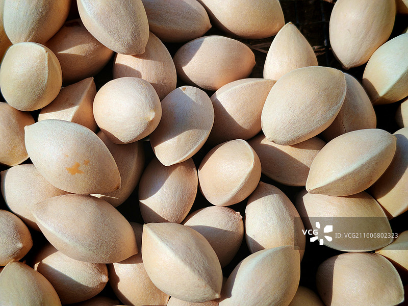 银杏果图片素材