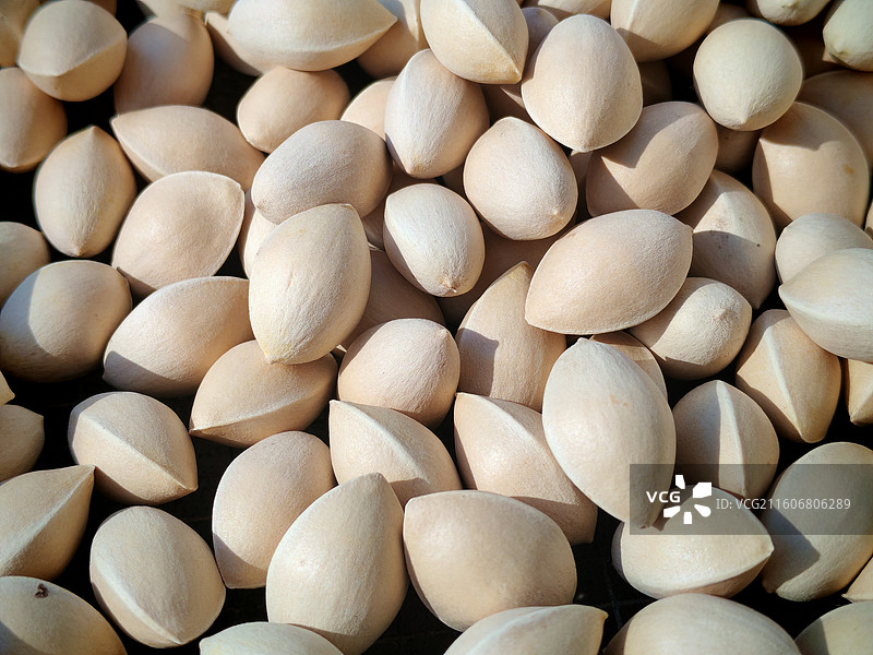 银杏果实图片素材