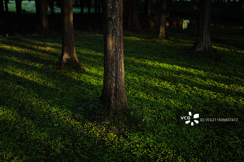 明祖陵图片素材