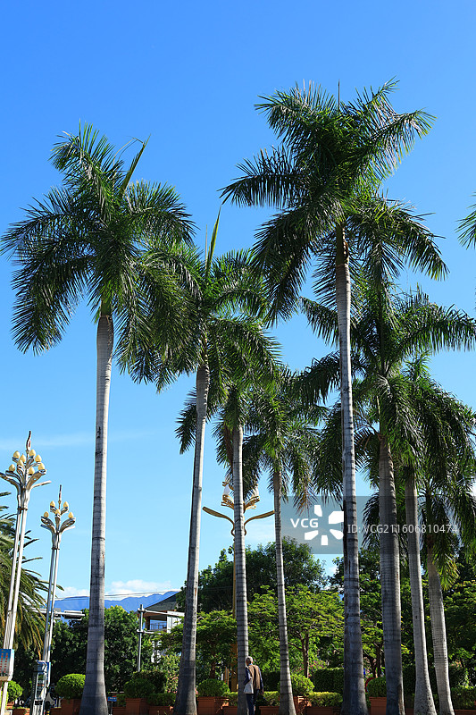 元谋凤凰湖图片素材