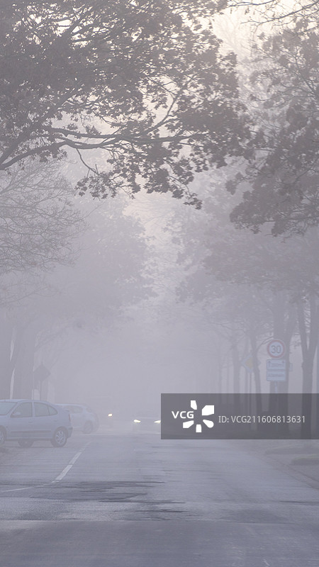 德国大雾天气的北部小镇建筑和易北河风景图片素材