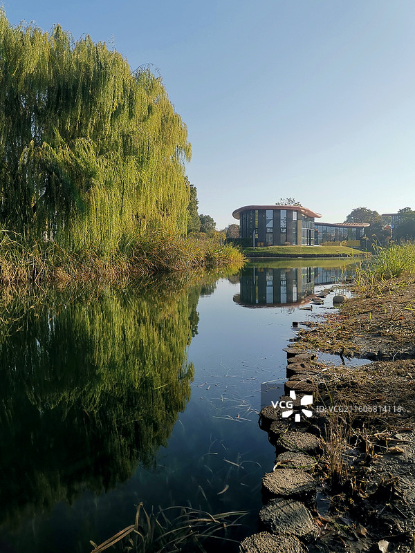 嘉兴中央公园北区 河塘光影图片素材