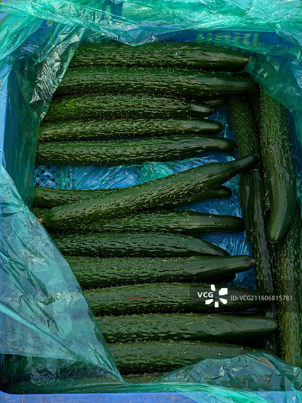 黄瓜 菜市场蔬菜摊位上的刺黄瓜图片素材