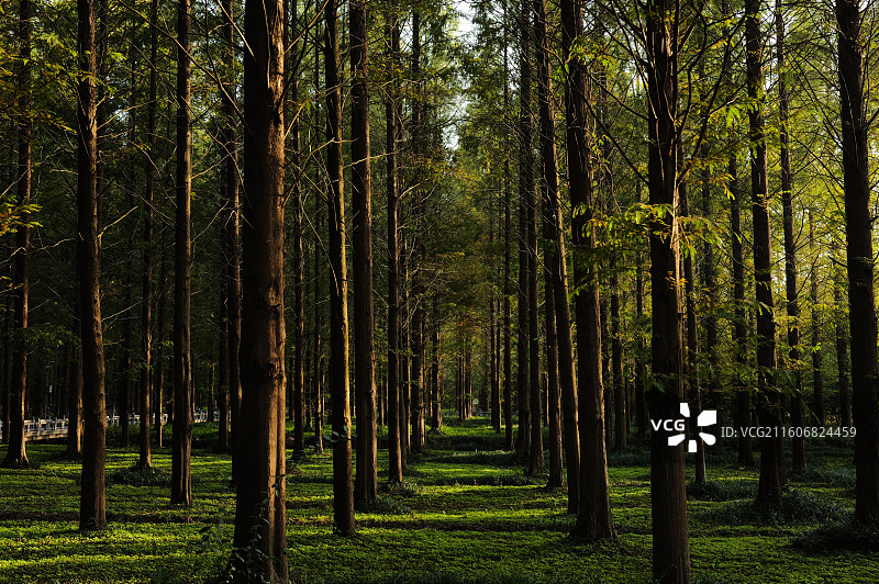 明祖陵图片素材