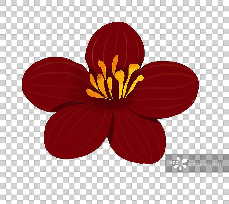 中国传统节日马年春节年俗插画元素鲜花红花图片素材