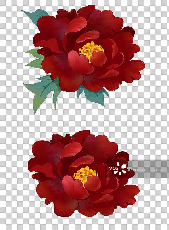 中国传统节日马年春节年俗插画元素鲜花牡丹芍药花图片素材