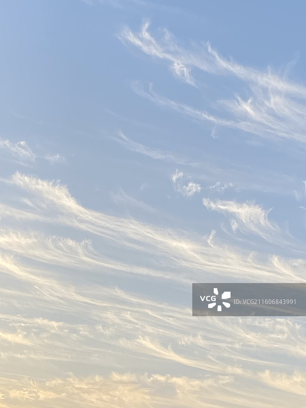 上海深秋的朝霞像水墨画图片素材