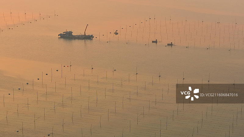 2025年11月22日，清晨，山东省日照市岚山区沿海，一艘艘出海的渔船迎着初升的太阳穿梭在海洋牧场，图片素材