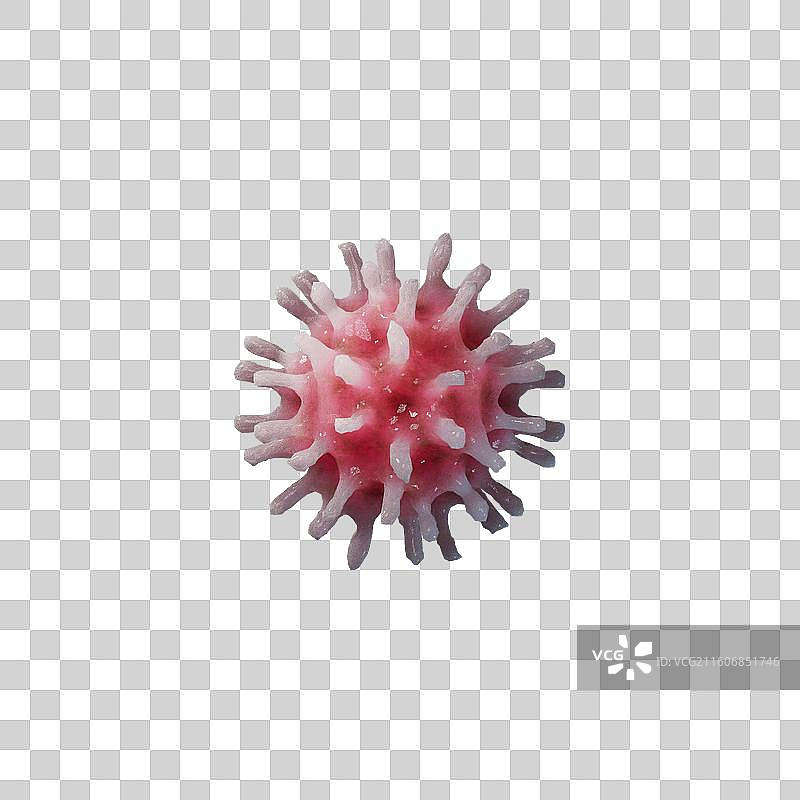 粉色刺状球形病毒图片素材