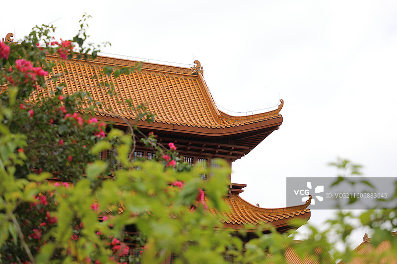 深圳弘法寺图片素材