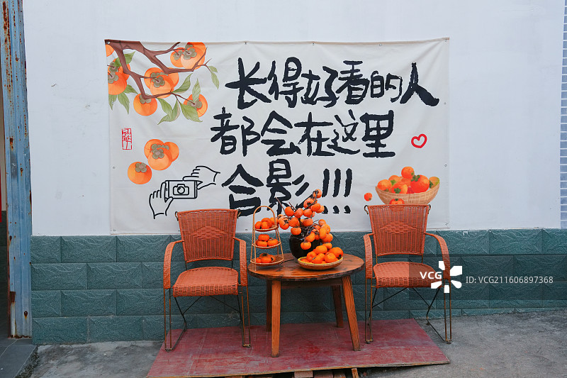 桂林恭城红岩村柿子黄了图片素材