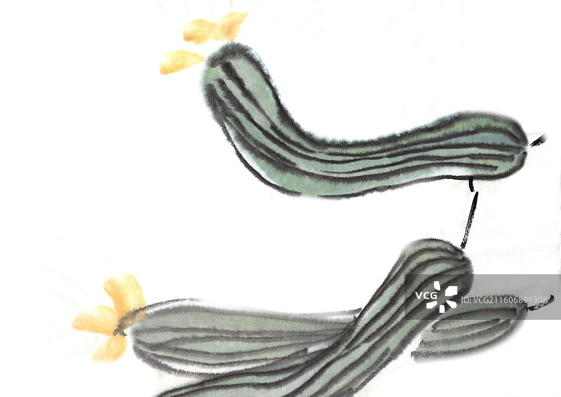 手绘 中国画 水墨蔬菜 丝瓜图片素材