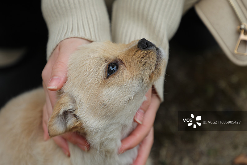 凌云山公园图片素材