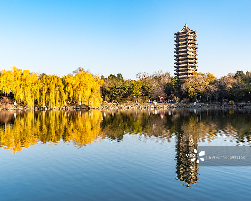 燕园风景：秋天北京大学未名湖博雅塔湖光塔影图片素材