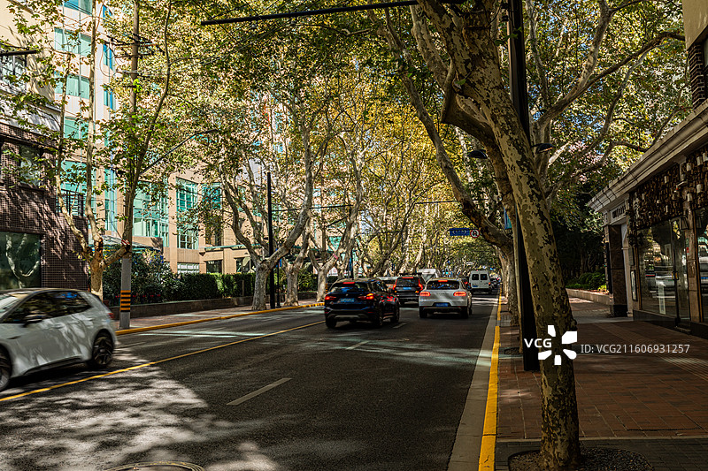 上海市徐汇区  秋日里的衡山路街区街景风光图片素材