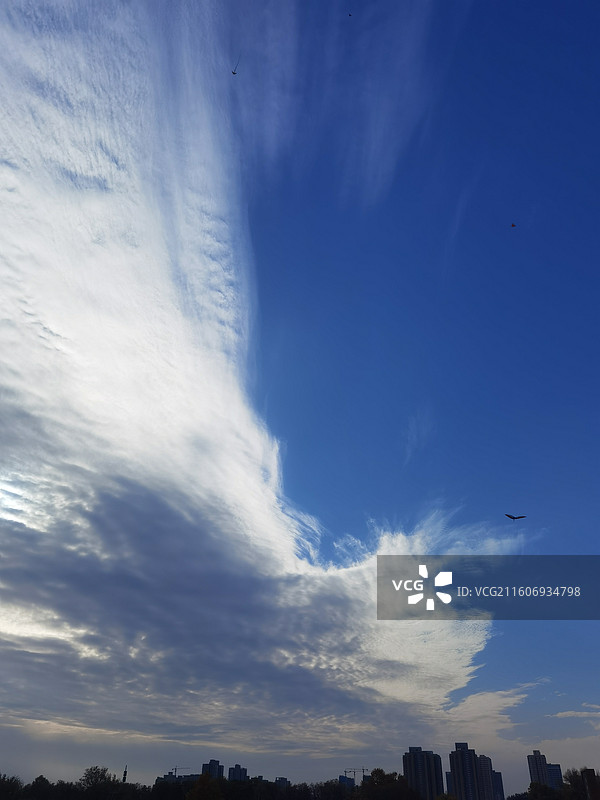 陕西省西安市西安大明宫遗址含元殿蓝天白云图片素材