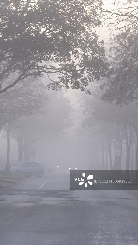 德国大雾天气的北部小镇建筑和易北河风景图片素材