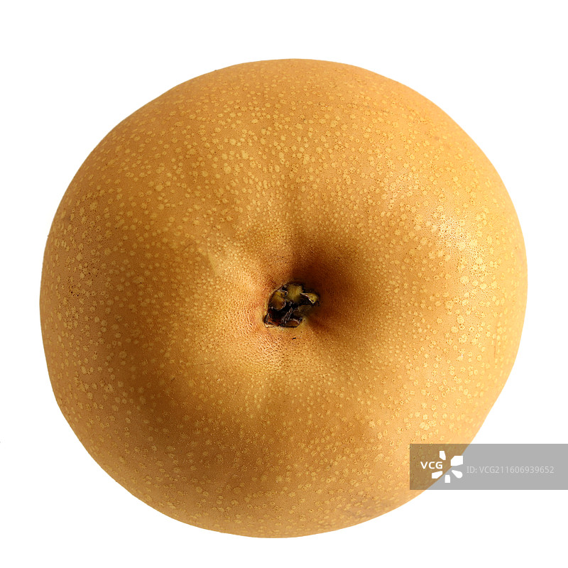 一个秋天里的新鲜水果秋月梨特写的白底图图片素材