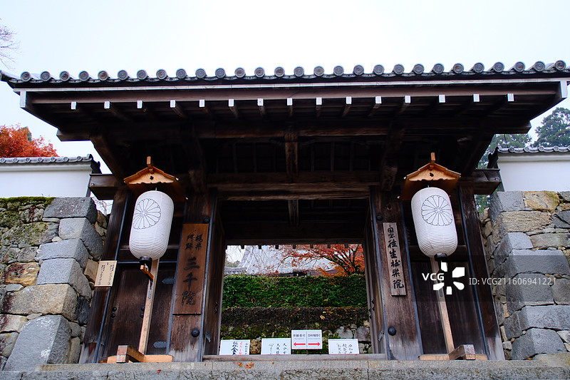 三千院 日本京都 秋天红叶图片素材