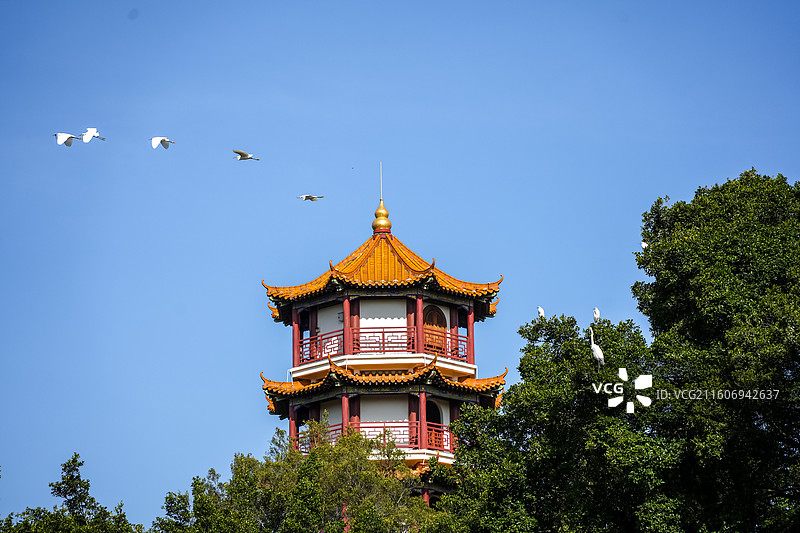 深圳市龙岗区龙兴寺观音宝塔图片素材