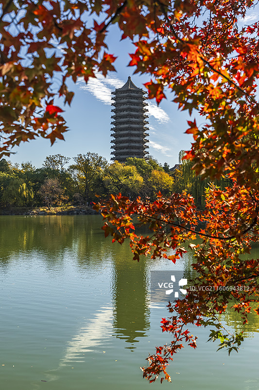 北京海淀北京大学深秋五彩斑斓天然图画图片素材