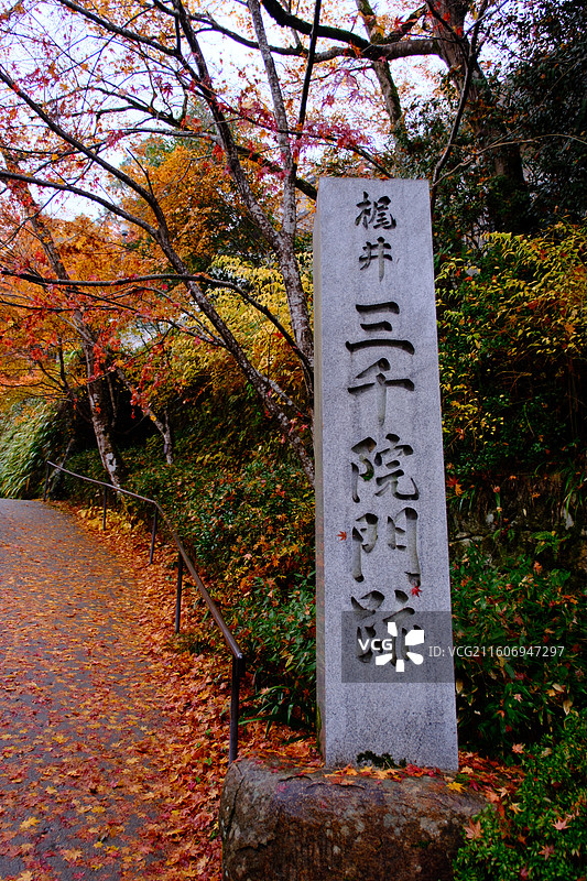 三千院 日本京都 秋天红叶图片素材
