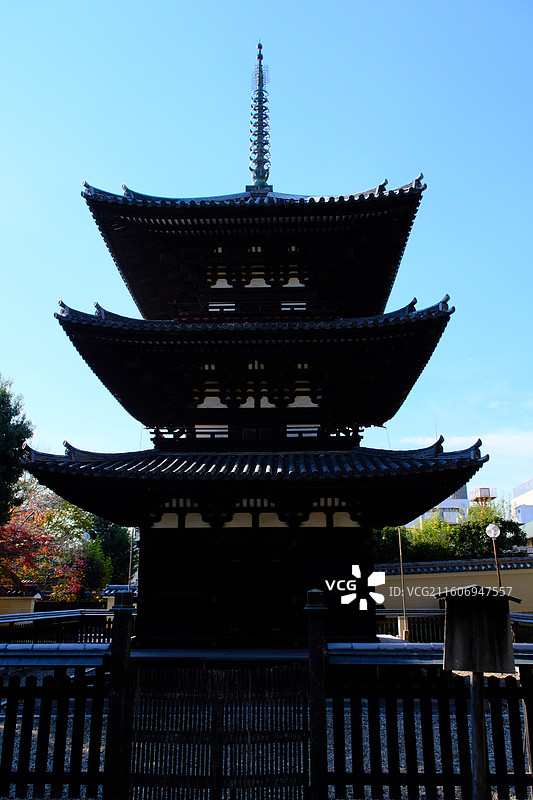 日本奈良 小鹿 秋天 红叶 春日大社 若草山图片素材
