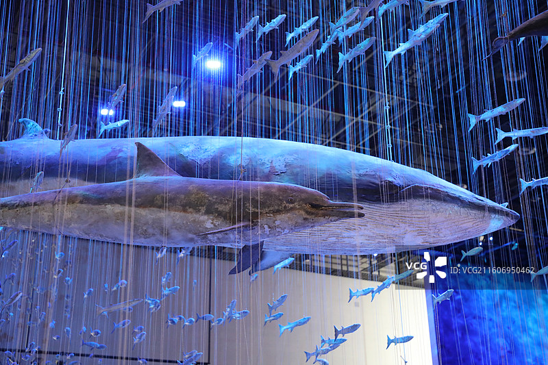 广东省博物馆图片素材