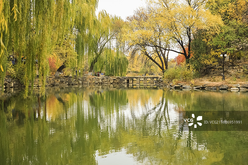 北京海淀北京大学深秋五彩斑斓天然图画图片素材