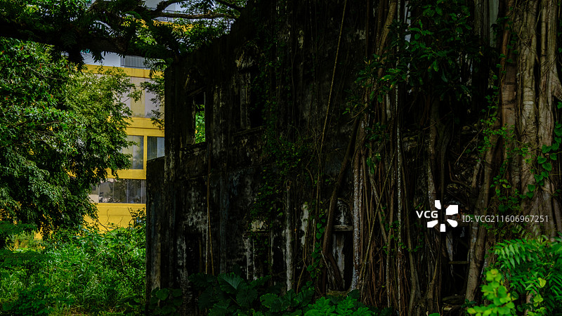 玻璃市和兰卡威图片素材