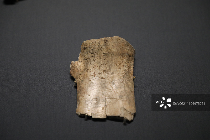 山东省博物馆图片素材