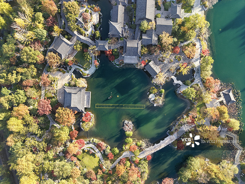 上海世博文化公园的冬日秋色图片素材