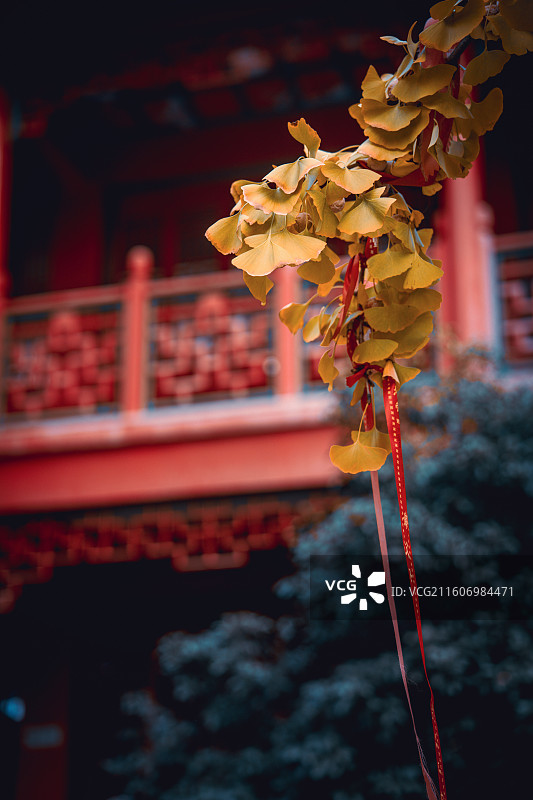 南京毗卢寺图片素材