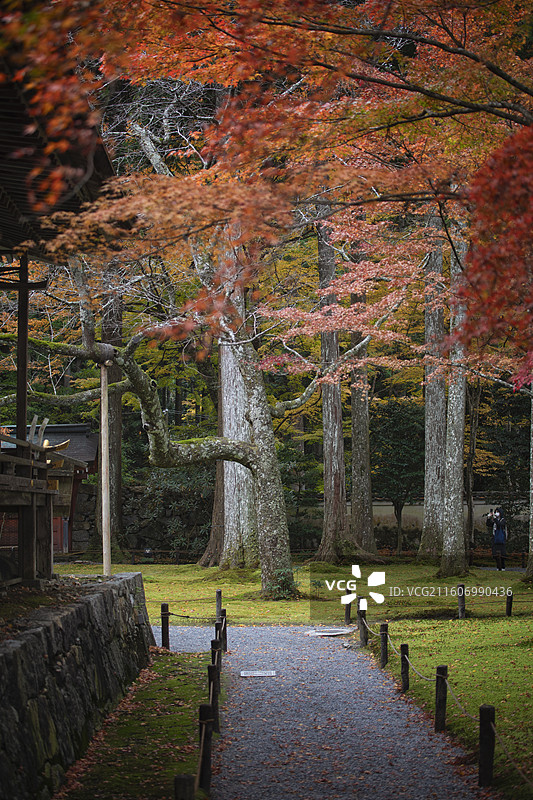 日本京都大原三千院的秋季风光图片素材