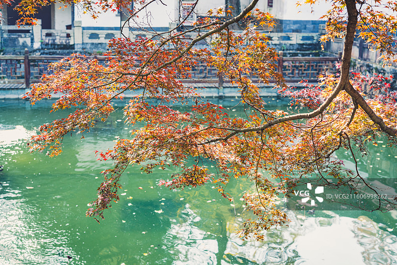 斑斓色彩的兴福寺图片素材